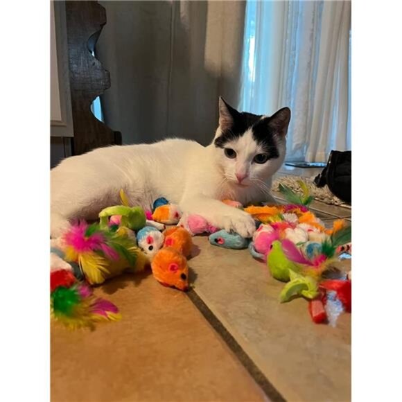 Fashion's Talk 48-Count Assorted Mice Cat Toys Furry Rattle Mouse Kitten Toy - Picture 3 of 8